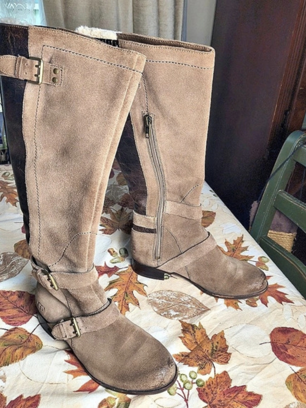 UGG Cydnee Suede Leather And Sherpa Tall Riding Boots